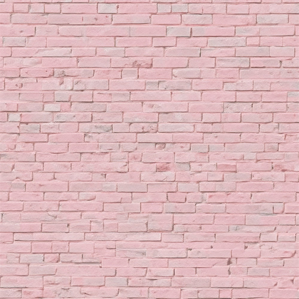 Pink Brick Wall Backdrop Pink Minimalist Brick Backdrop CJJ3-26