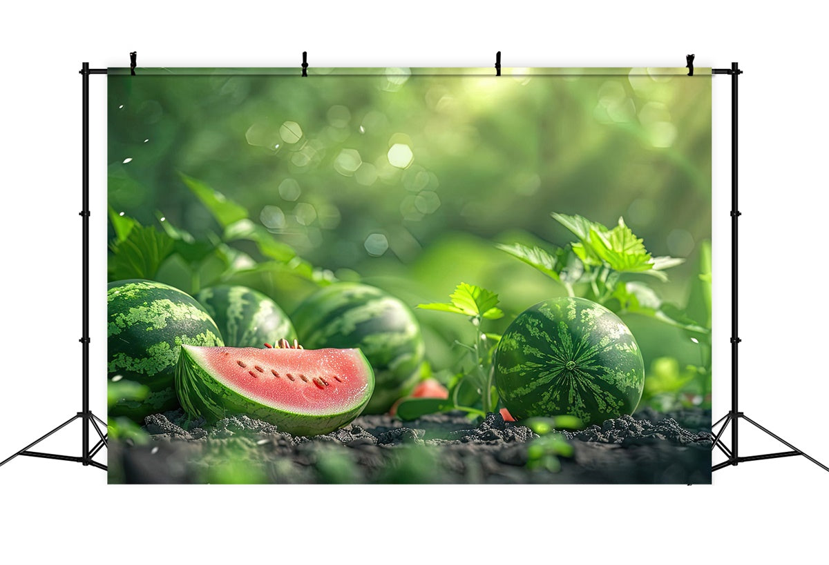 Watermelon Photography Backdrop Sunlit Watermelon Garden Summer Backdrop CJJ3-265