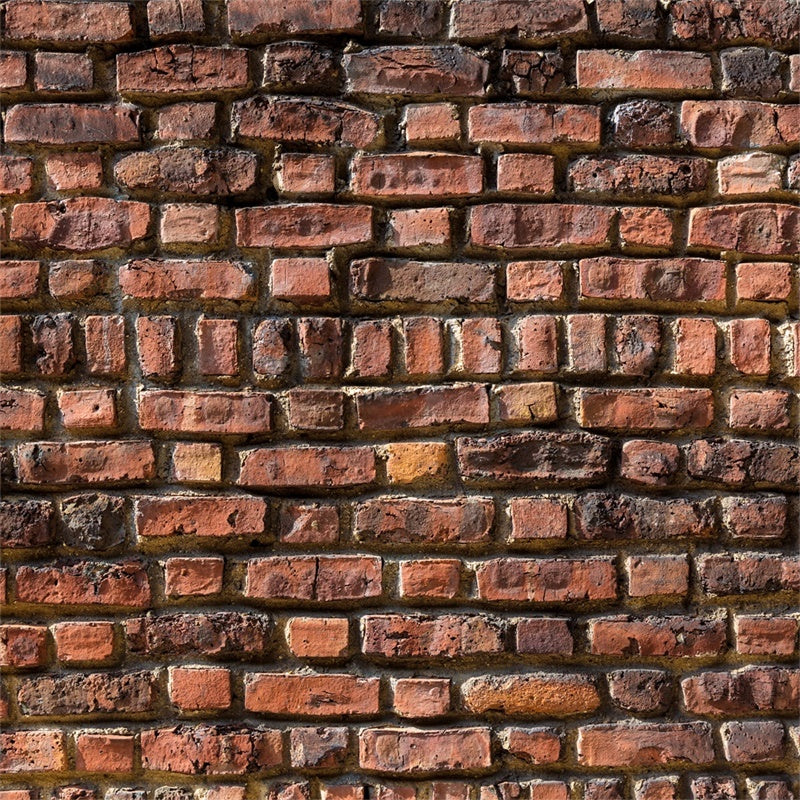 Brick Wall Backdrop Photography Heritage Red Brick Backdrop CJJ3-3