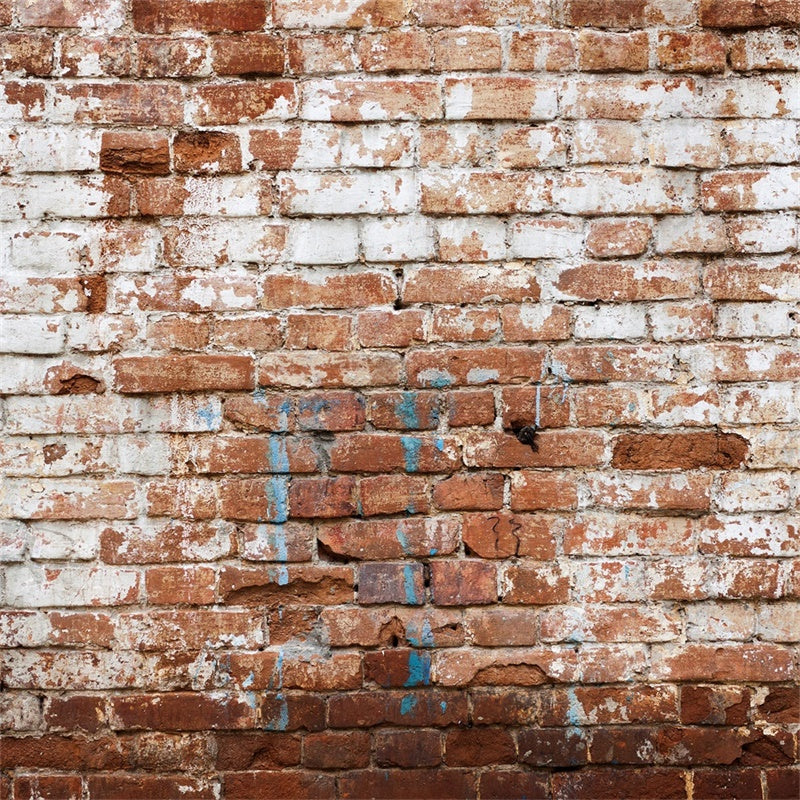 Brick Wall Photography Backdrop Aged Whitewashed Brick Backdrop CJJ3-9