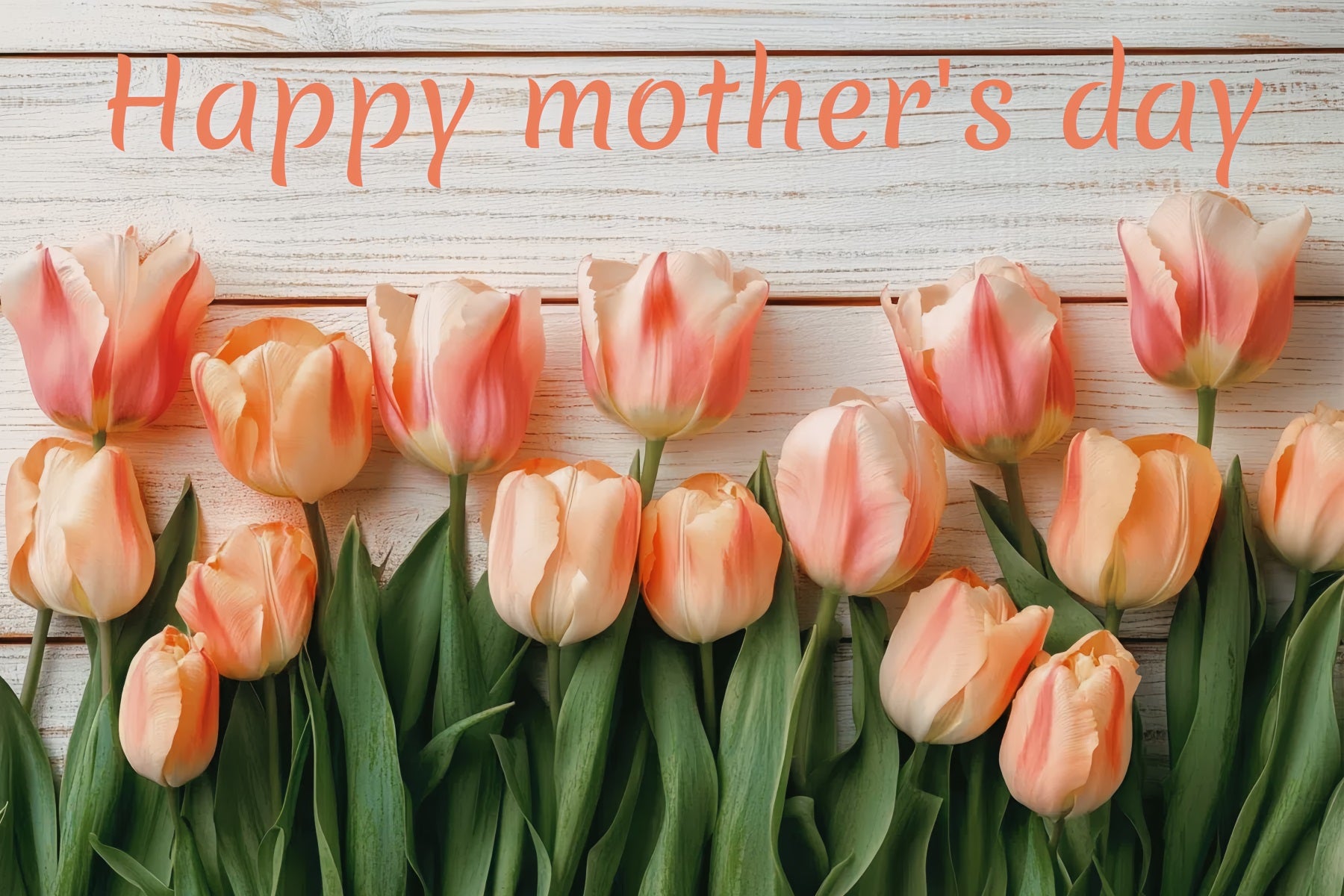 Mothers Day Backdrop Wooden Board Tulip Customized Backdrop CSH3-161