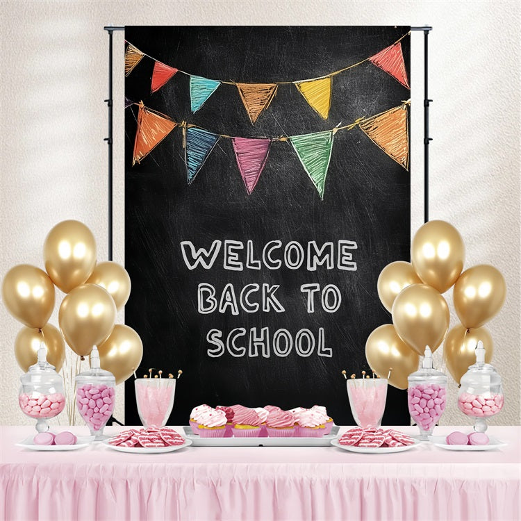 Back To School Picture Backdrop Classic Chalkboard Welcome Backdrop CSH3-61