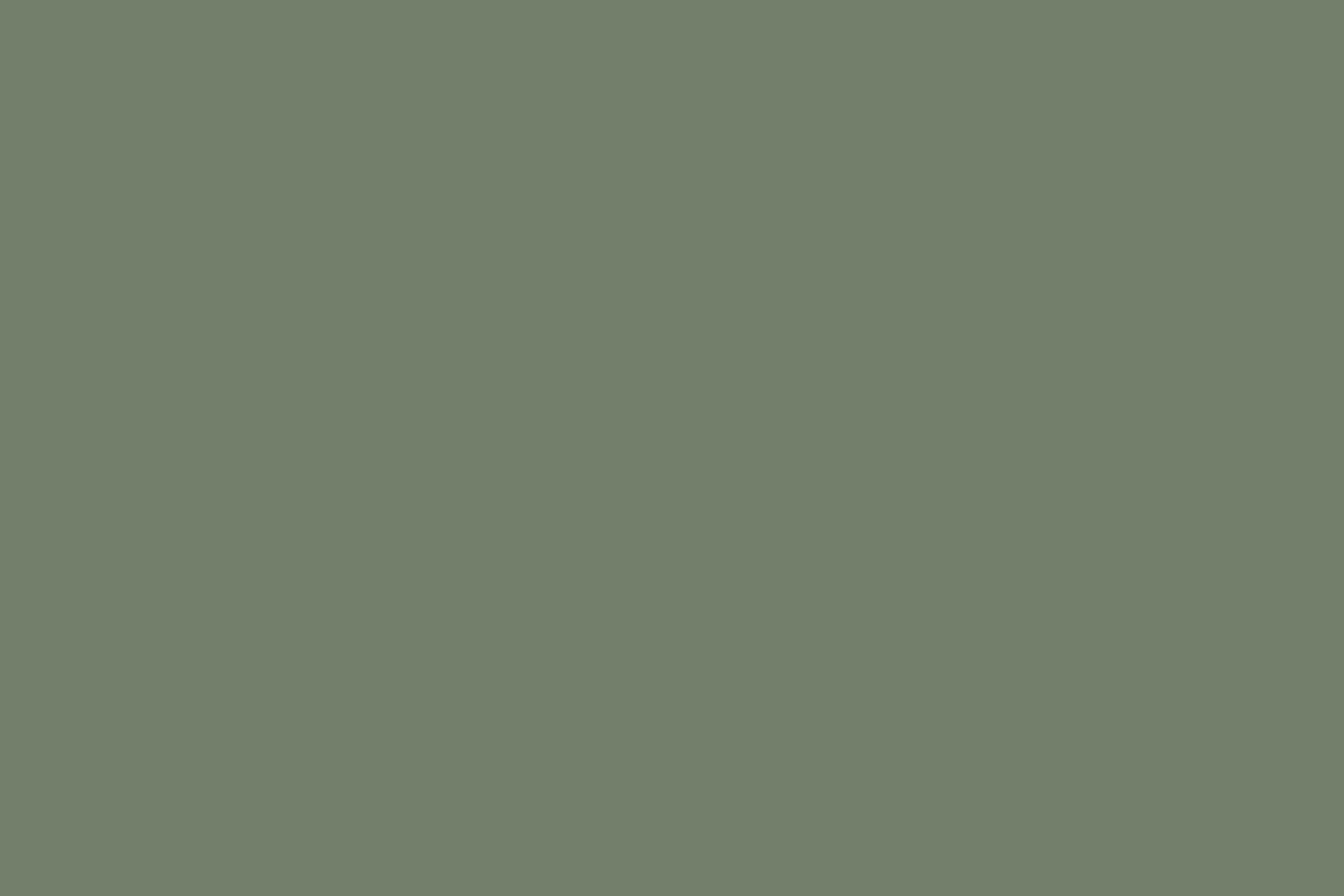 Green Backdrops Elegant Natural Green Backdrop CSH4-163