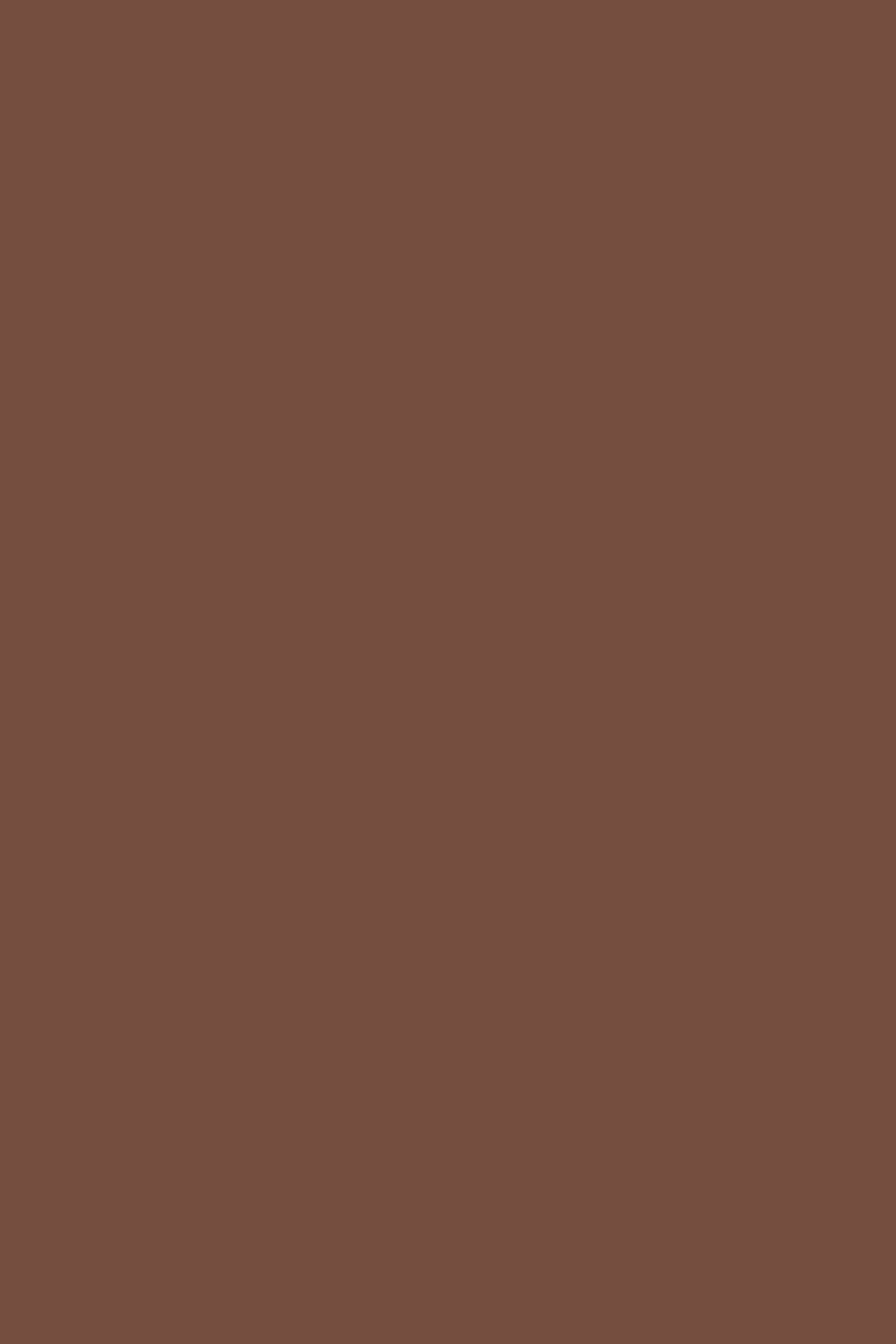 Solid Color Backdrops Deep Terracotta Brown Backdrop CSH4-164
