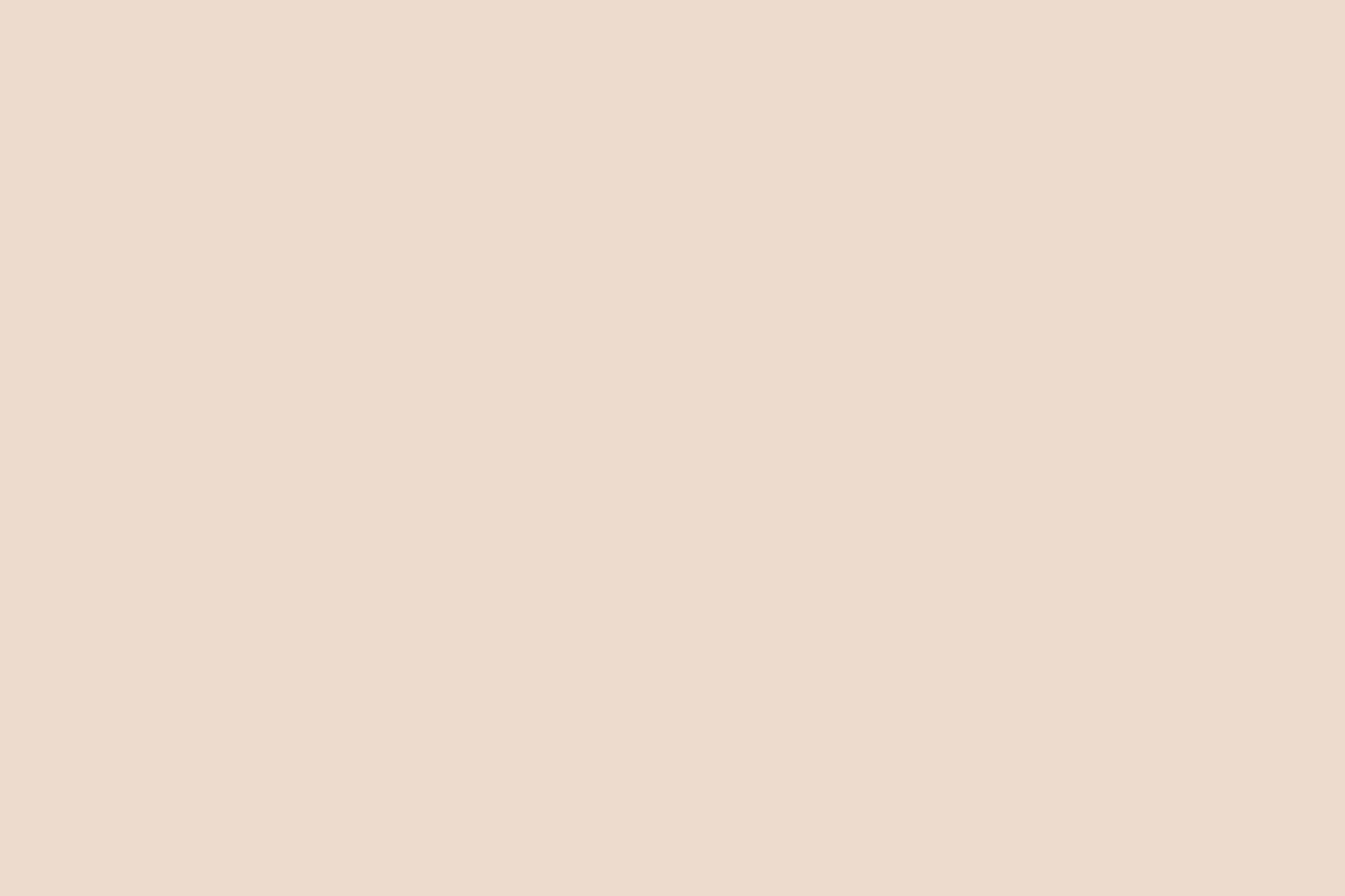 Solid Color Backdrops Light Almond Cream Backdrop CSH4-167