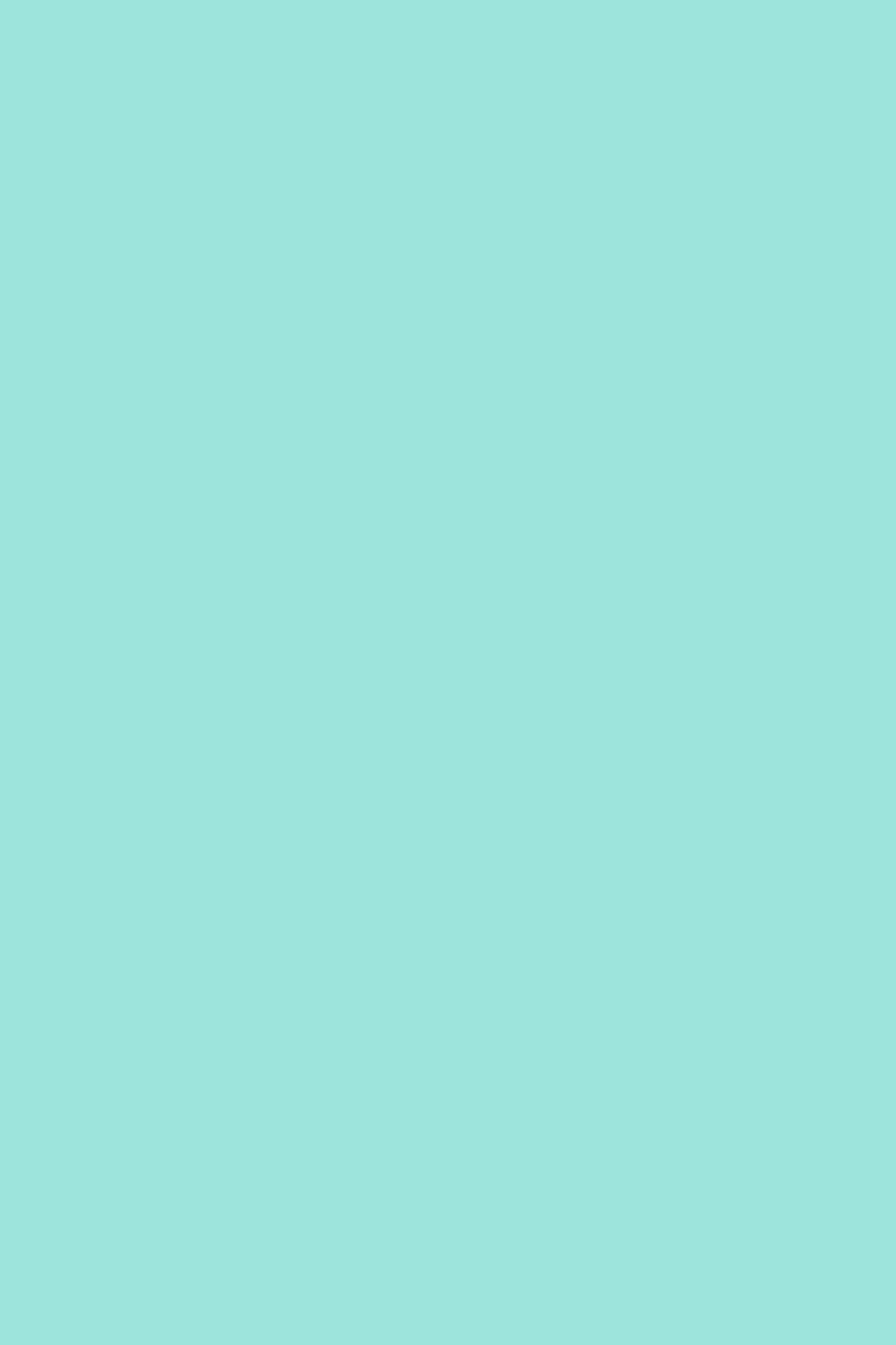 Green Photography Backdrop Soft Mint Dream Backdrop CSH4-170