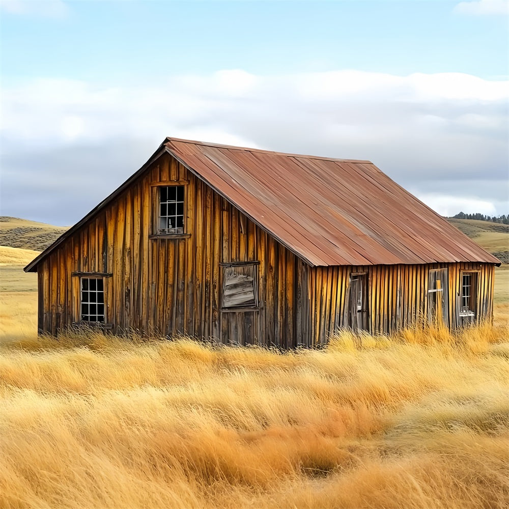 Barn Backdrops Weathered Farmhouse Rustic Landscape Backdrop CSH4-209