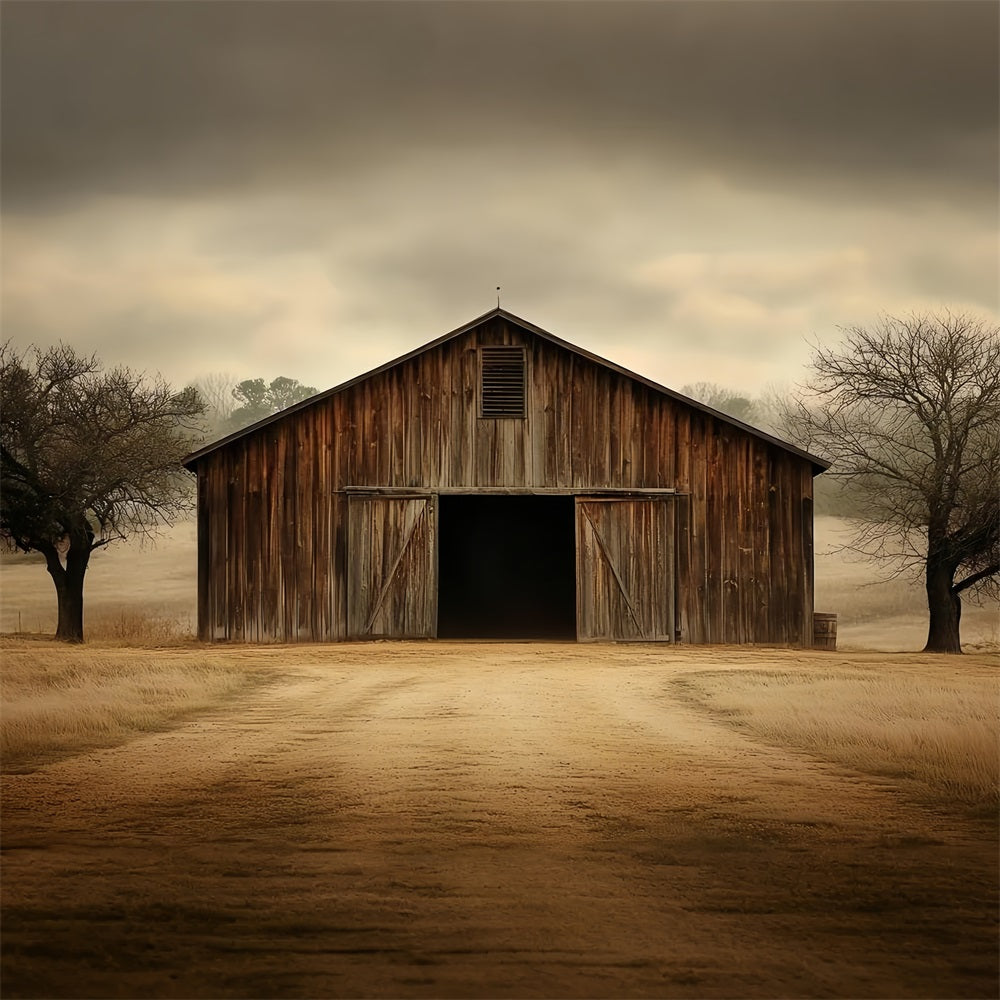 Barnyard Backdrop Old Farm Cloudy Skies Backdrop CSH4-219