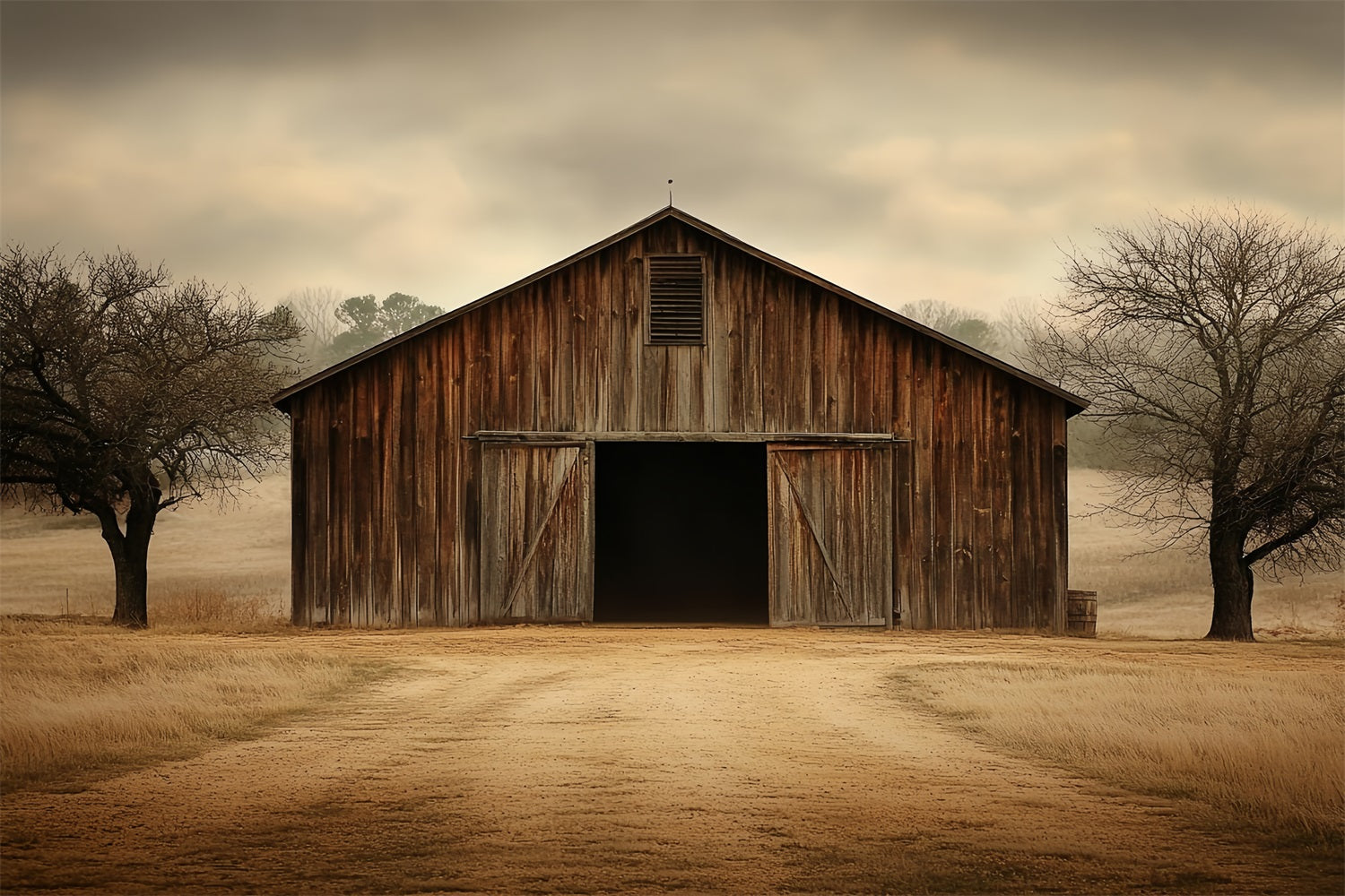 Barnyard Backdrop Old Farm Cloudy Skies Backdrop CSH4-219
