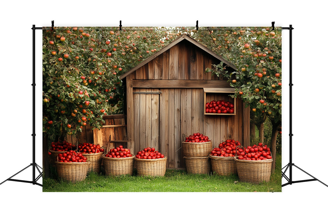 Wooden Barn Backdrop Wooden Apple Harvest Backdrop CSH4-225