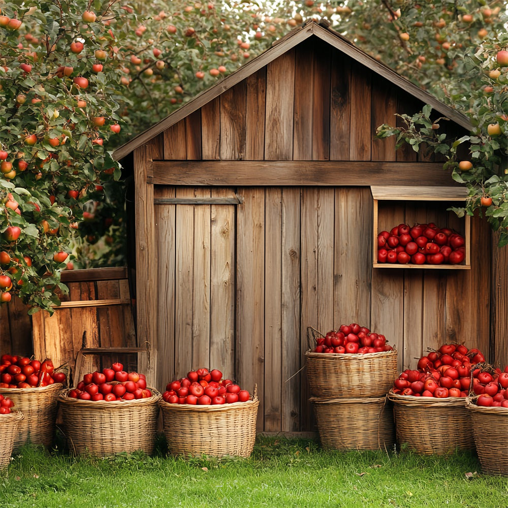 Wooden Barn Backdrop Wooden Apple Harvest Backdrop CSH4-225