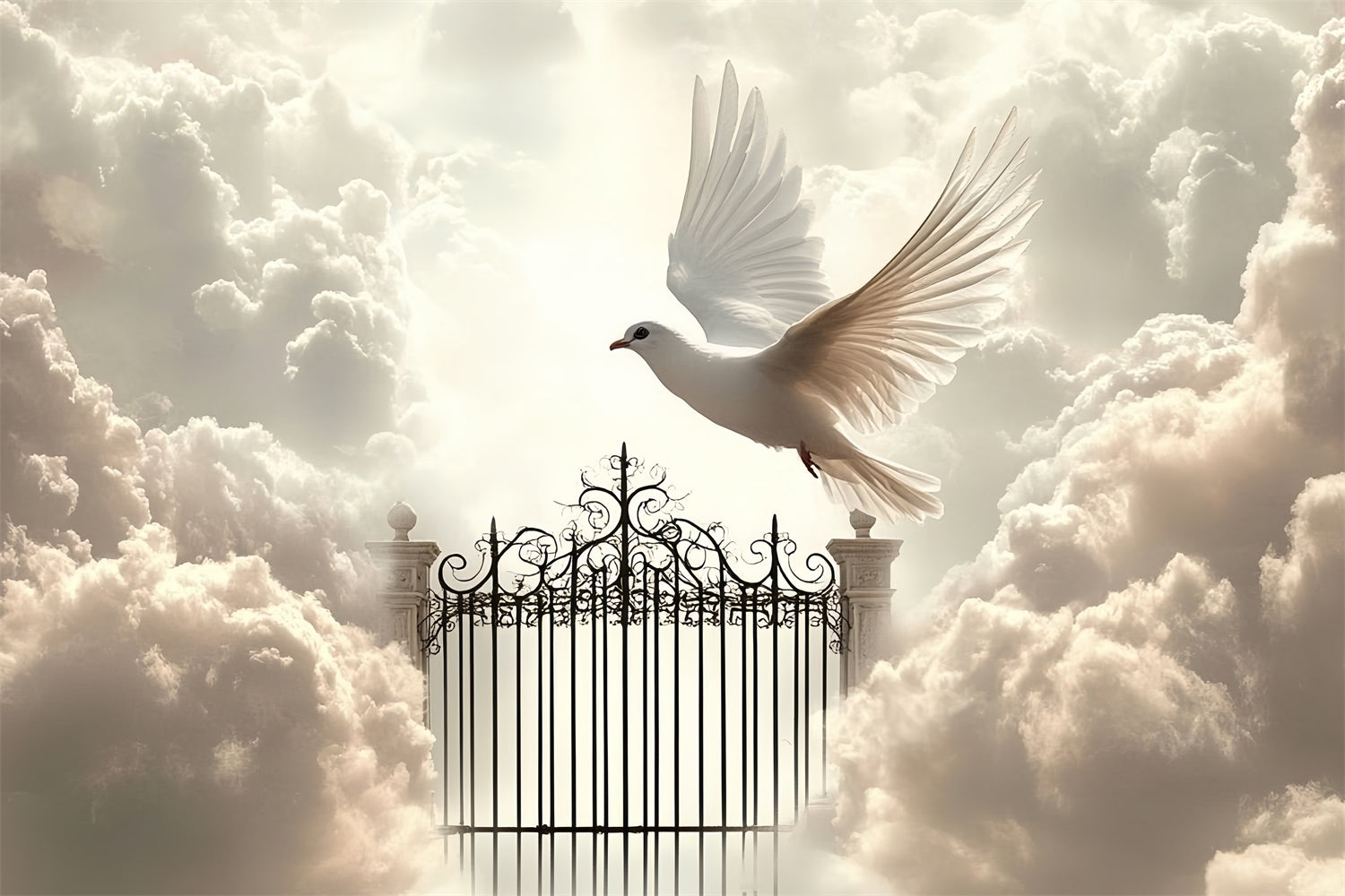 Cloud Photo Backdrop Heavenly Gates Dove Flight Backdrop CSH4-234
