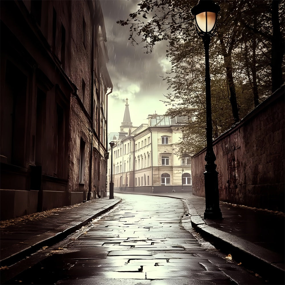 Backdrops Vintage Rainy Alley Vintage City Backdrop CSH4-321