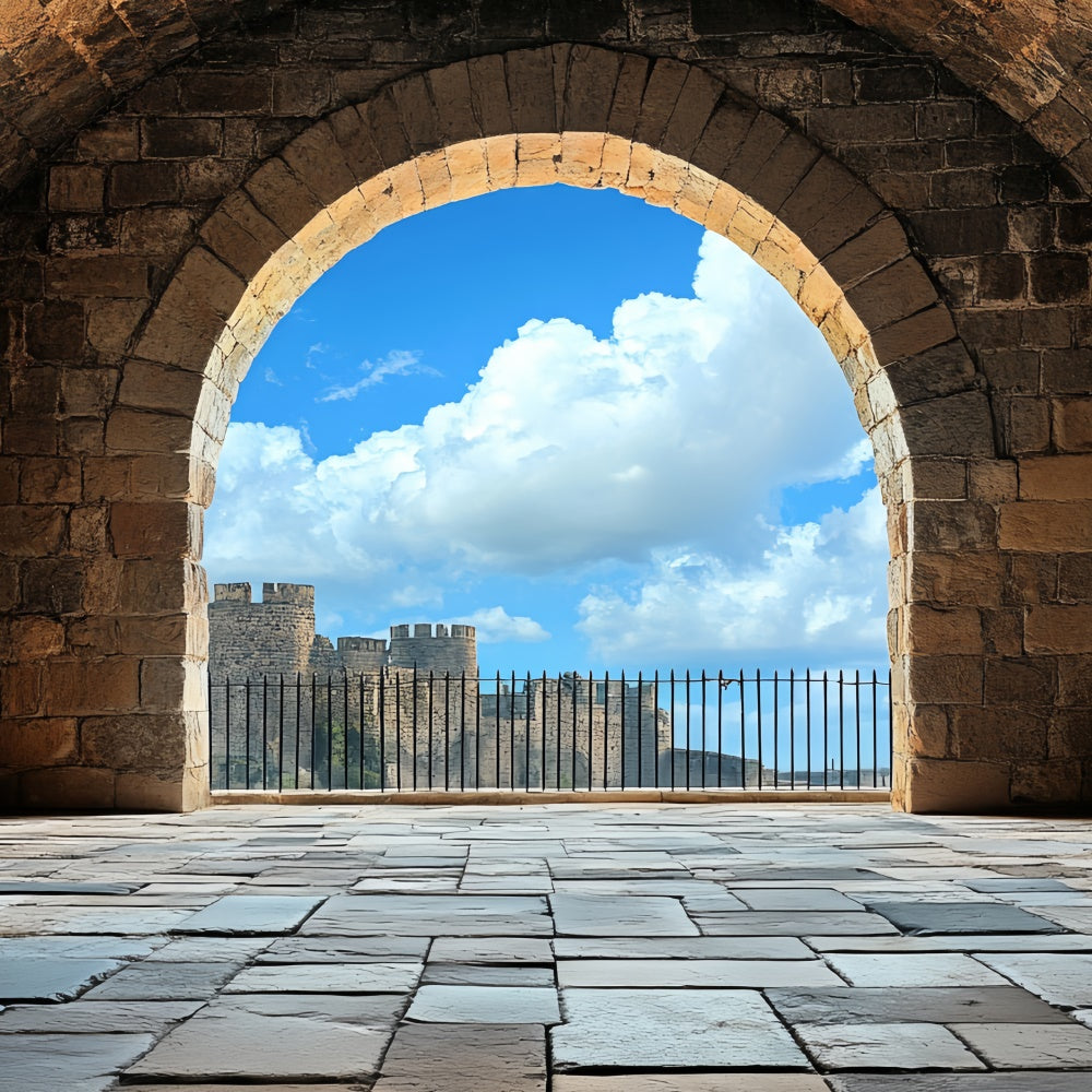 Antique Backdrop Medieval Arch Blue Sky Vintage Backdrops CSH4-407