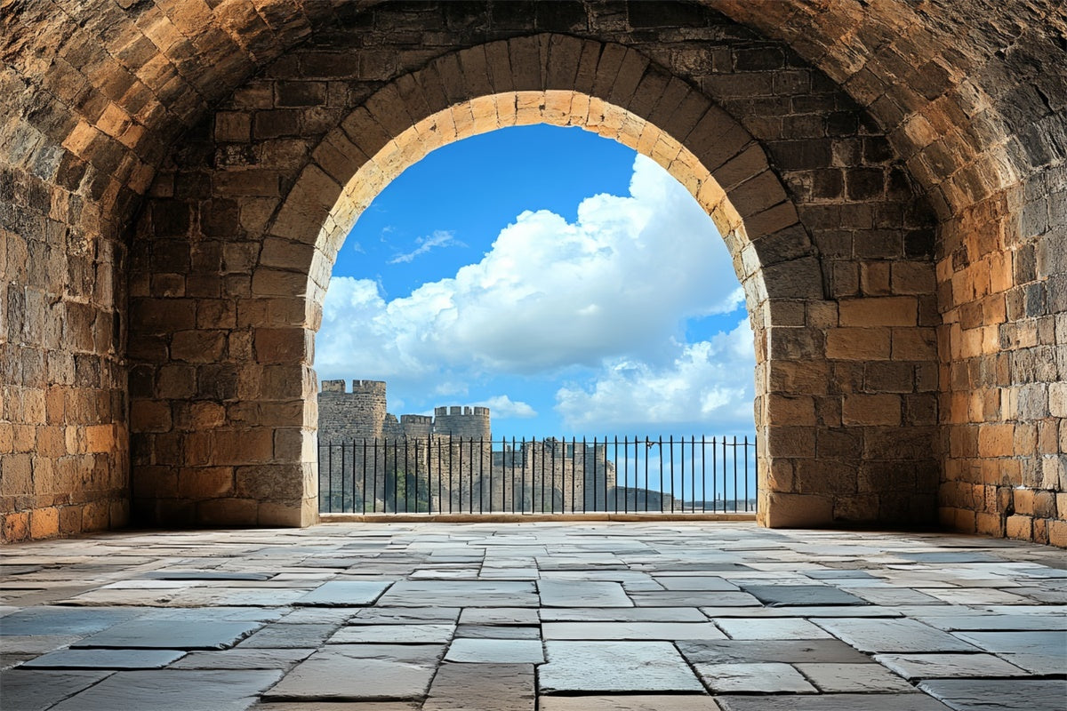 Antique Backdrop Medieval Arch Blue Sky Vintage Backdrops CSH4-407