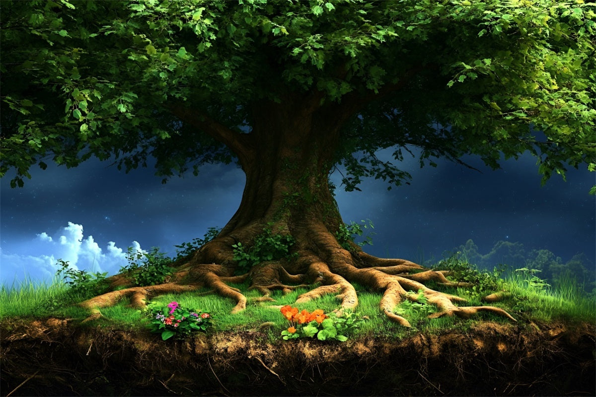 Forest Photo Backdrop Majestic Tree Canopy Fantasy Backdrop CSH4-96