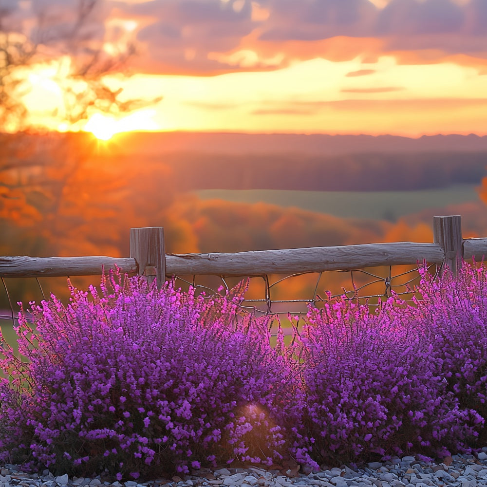 Sunset Backdrop Violet Bloom Horizon Autumn Backdrop CSH57-200