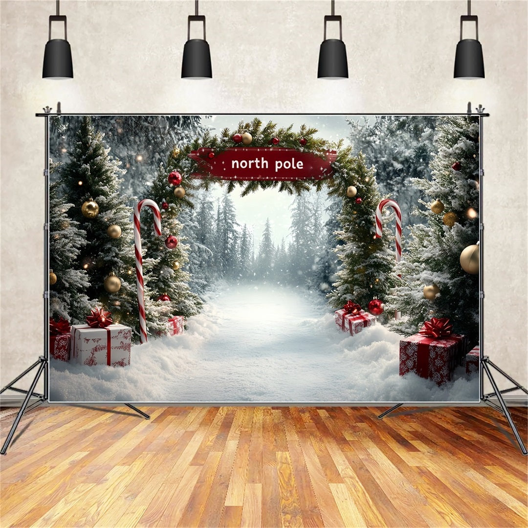 North Pole Backdrop North Pole Candy Cane Gift Pathway Winter Christmas Backdrop CSH58-36