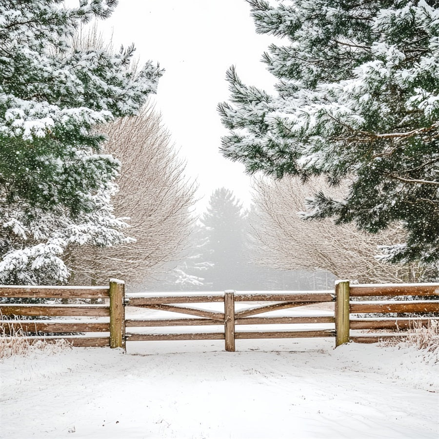 Nature Backdrop Winter Holly Forest Pasture Fencing Winter Backdrop Ideas CSH58-42