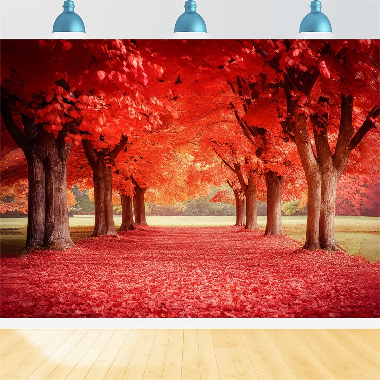 Forest Photo Backdrop Crimson Maple Trail Autumn Backdrop CSH6-192