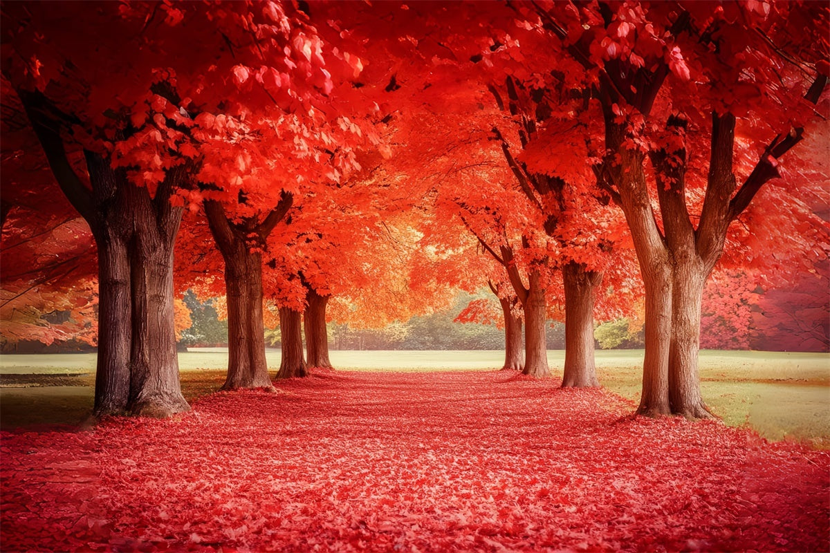 Forest Photo Backdrop Crimson Maple Trail Autumn Backdrop CSH6-192