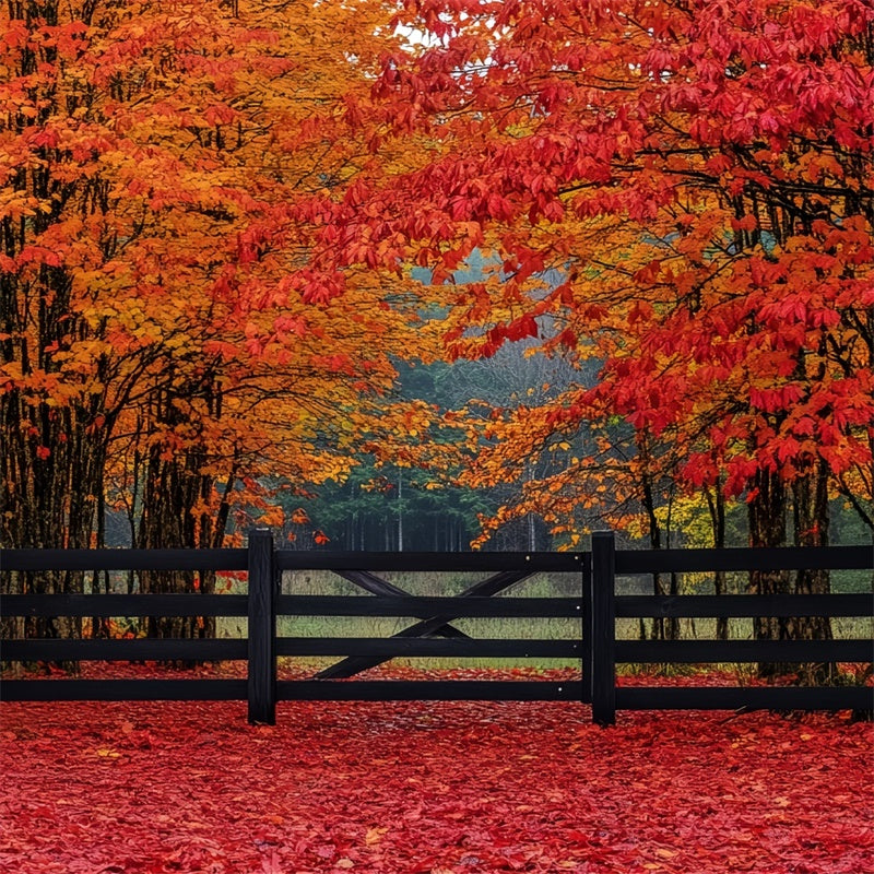 Fall Forest Backdrop Scarlet Forest Entry Backdrop CSH6-220