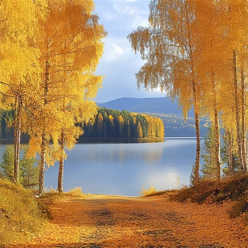 Forest Backdrops Golden Birch Lake Fall Photo Backdrops CSH6-221