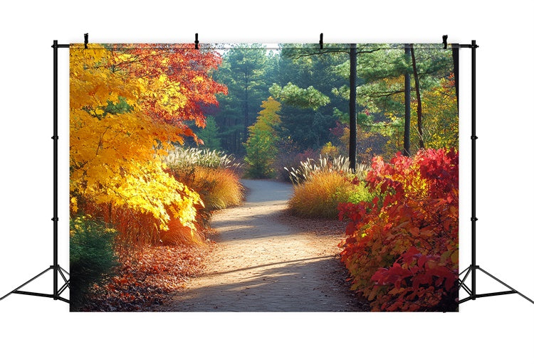 Forest Photo Backdrop Golden Grove Trail Autumn Backdrop CSH6-226