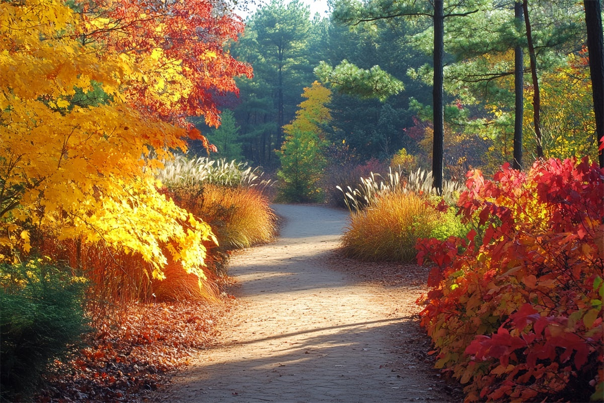 Forest Photo Backdrop Golden Grove Trail Autumn Backdrop CSH6-226