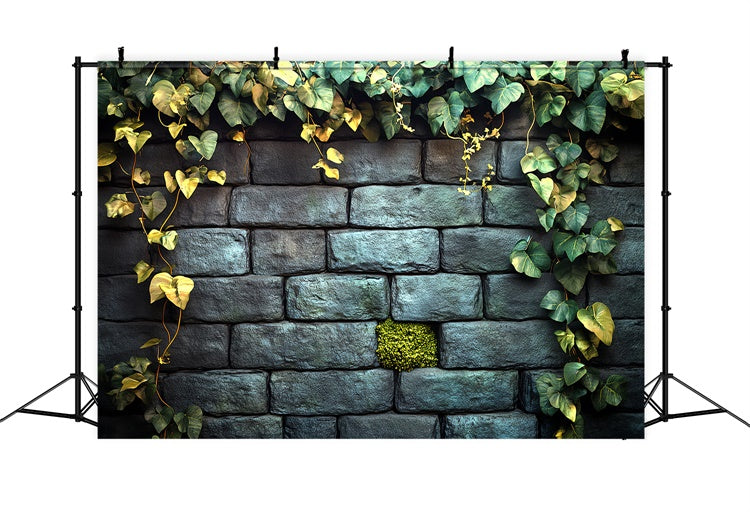 Halloween Wall Backdrop Ivy Garden Stone Wall Backdrop CSH6-92