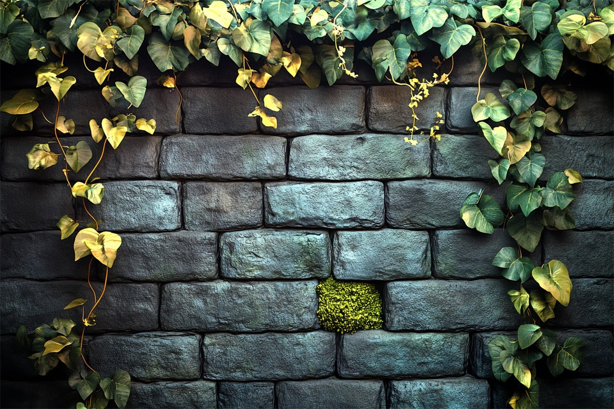 Halloween Wall Backdrop Ivy Garden Stone Wall Backdrop CSH6-92