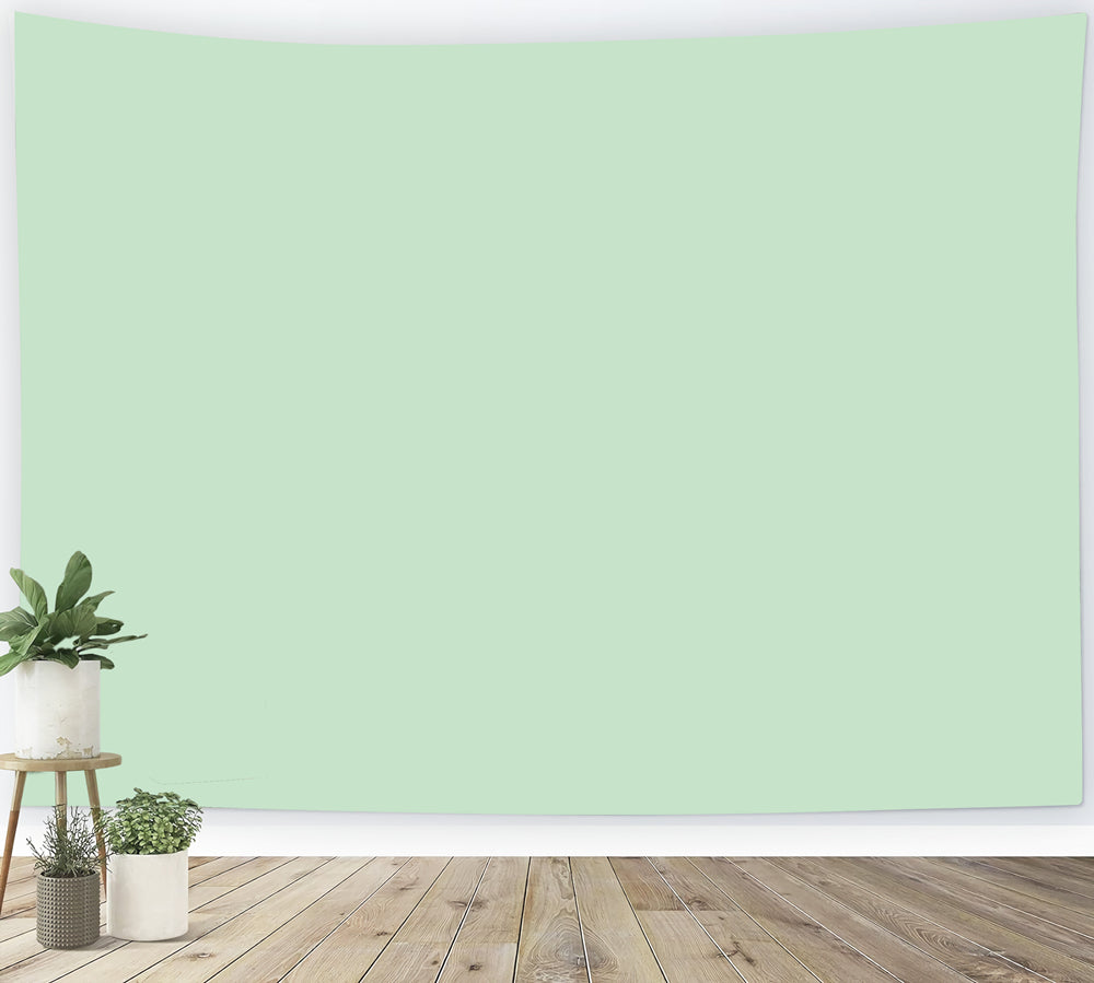 Green Photo Backdrop Soft Mint Green Gentle Hue Backdrop Solid Color CSH62-10