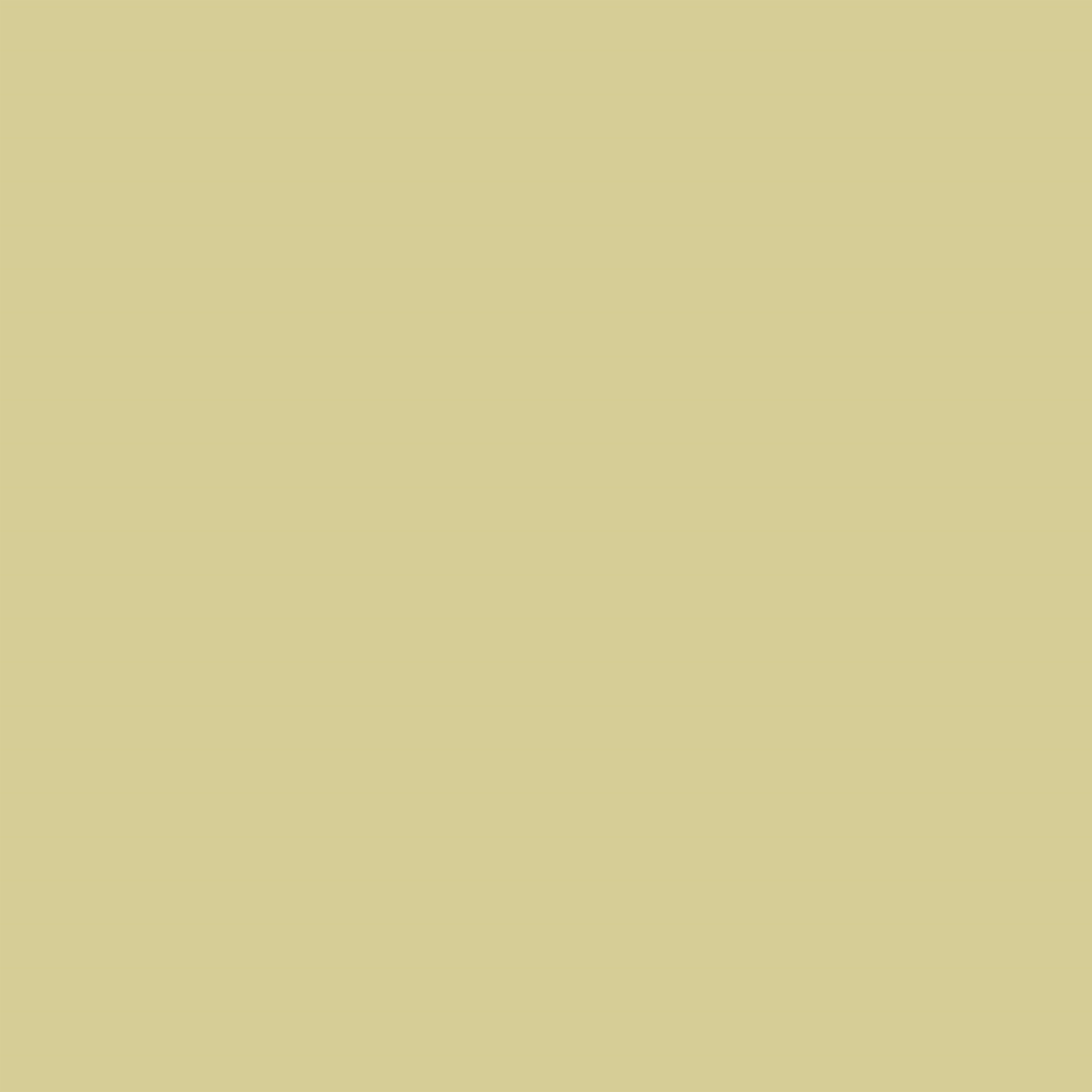 Yellow Backdrop Warm Butter Yellow Smooth Shade Solid Color Photo Backdrop CSH62-11