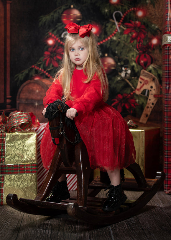 Christmas Trees And Treasure Box Backdrop for Photography DBD-P19196