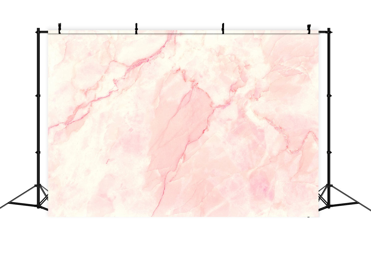 Pink Marble Backdrop Elegant Pale Pink Photography Backdrop GQ4-139