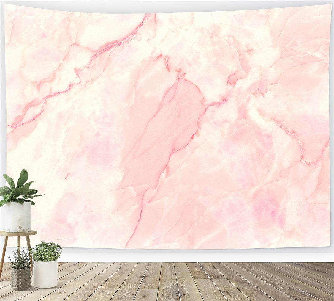 Pink Marble Backdrop Elegant Pale Pink Photography Backdrop GQ4-139