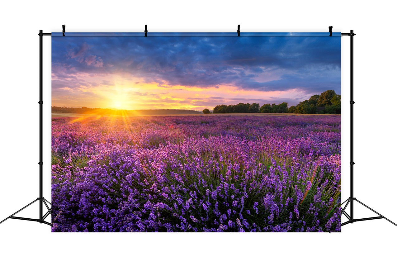 Lavender Photo Backdrop Twilight Purple Meadow Backdrop GQ4-24