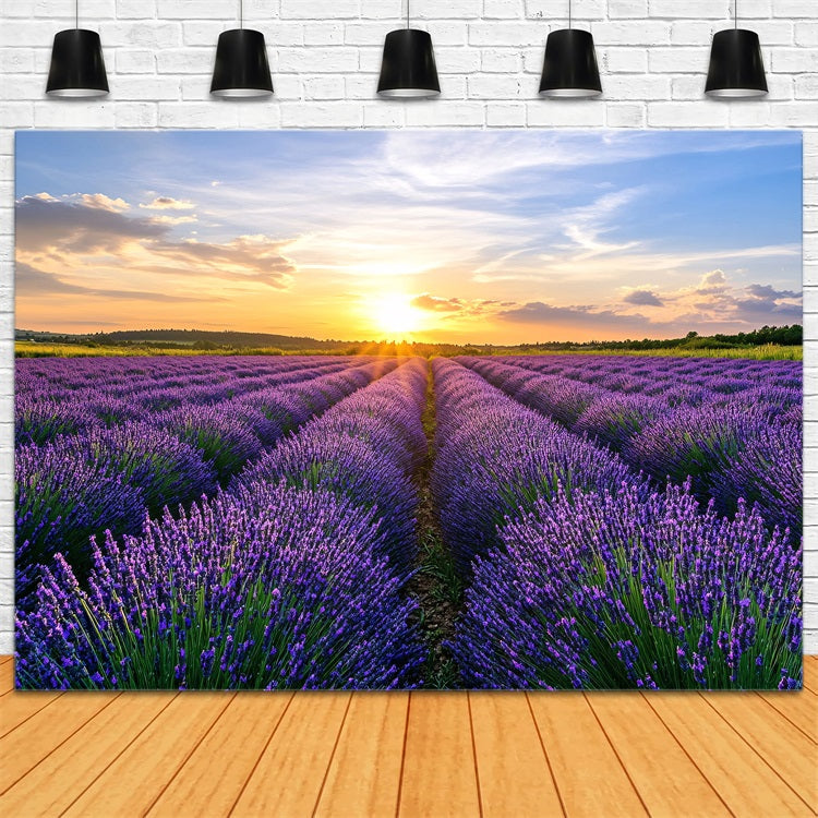 Purple Flowers Backdrop Blooming Lavender Horizon Photo Backdrop GQ4-29