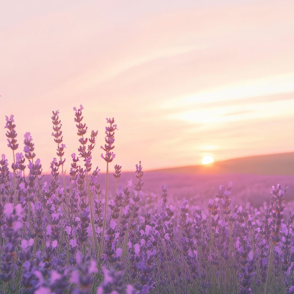 Lavender Photo Backdrop Sunset Floral Field Backdrop GQ4-32