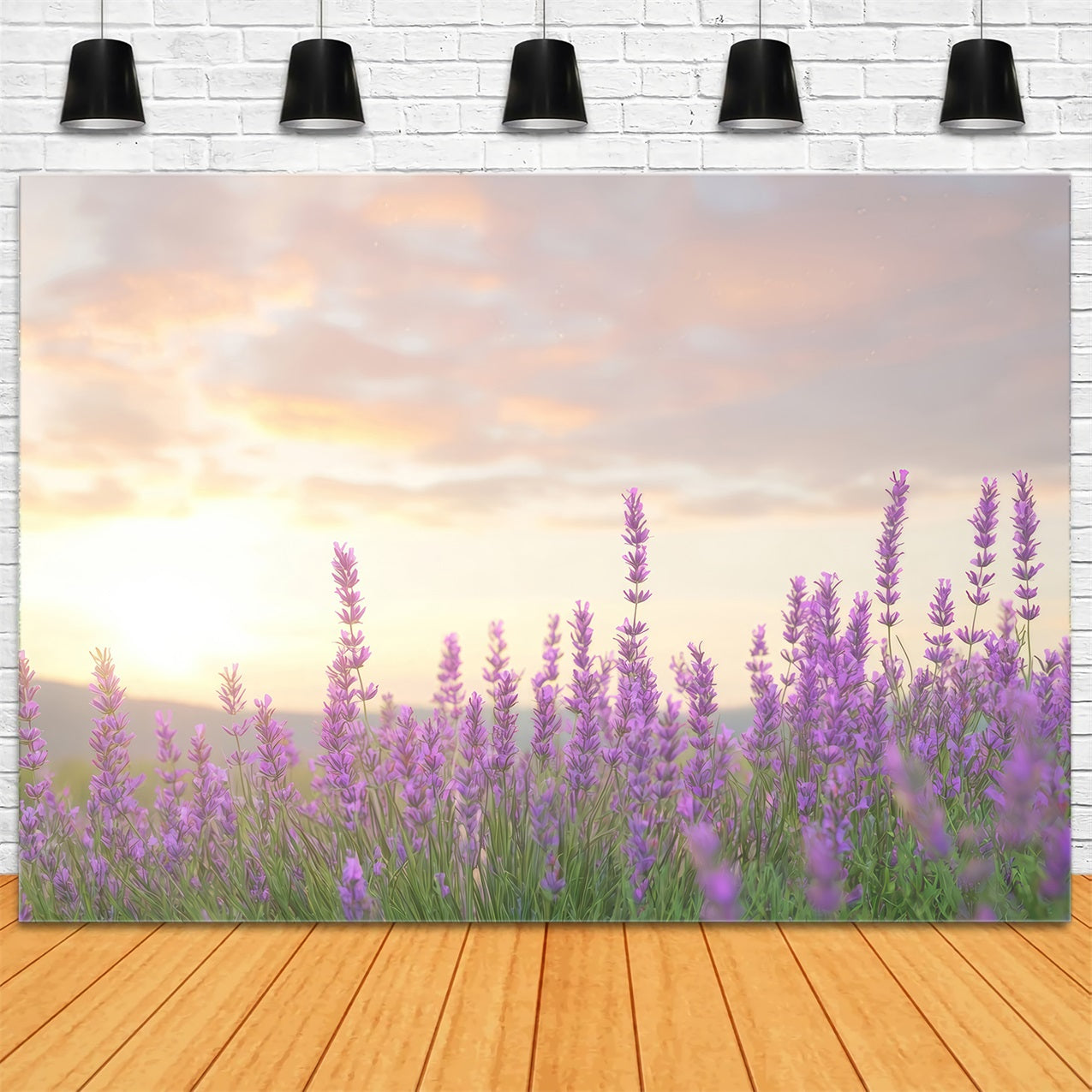 Lavender Backdrops Warm Glow Purple Flower Backdrop GQ4-33