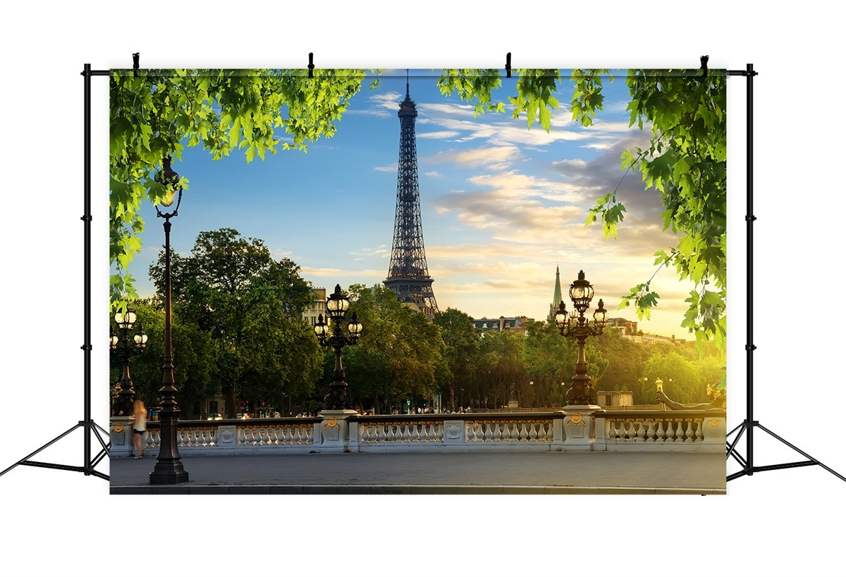Eiffel Tower Paris Backdrop Blue Sky Green Leaves Backdrop GQ4-35