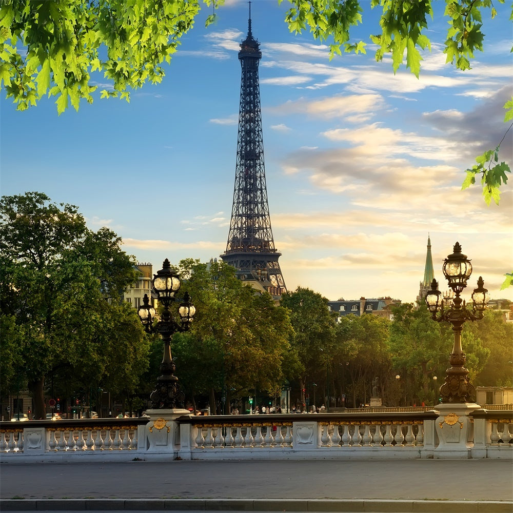 Eiffel Tower Paris Backdrop Blue Sky Green Leaves Backdrop GQ4-35