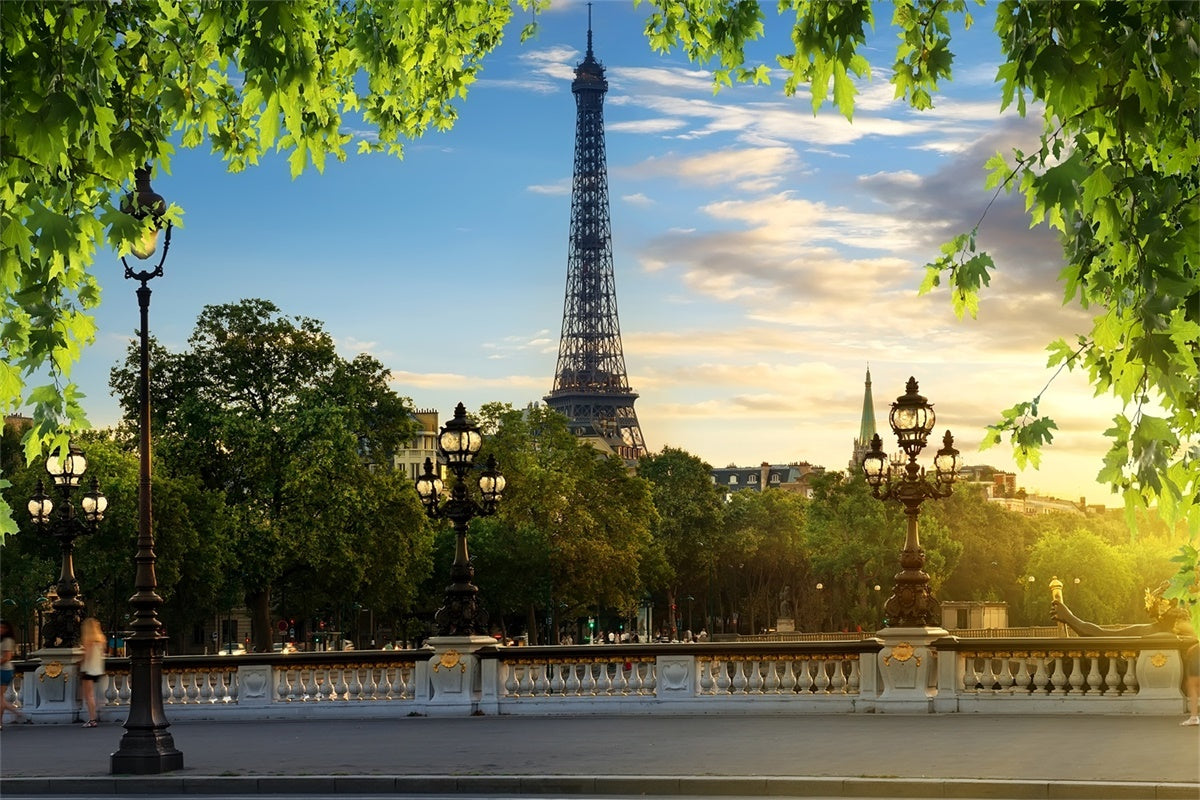 Eiffel Tower Paris Backdrop Blue Sky Green Leaves Backdrop GQ4-35