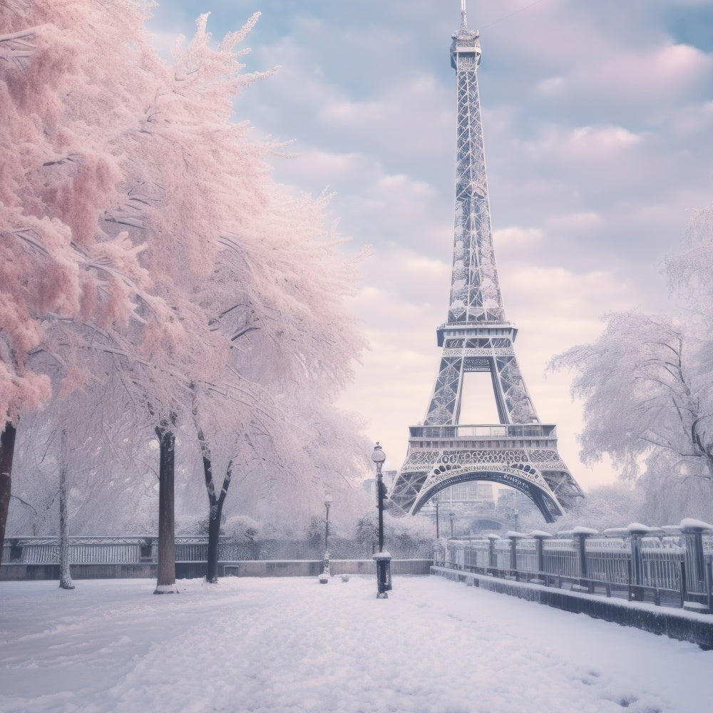 Paris Backdrop Photography Eiffel Tower Winter Scene Backdrop GQ4-53