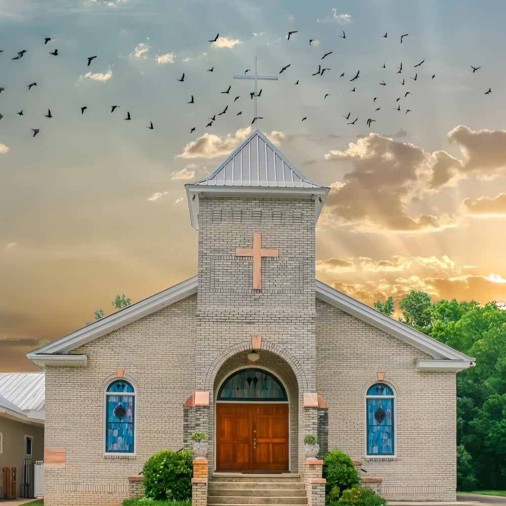 Church Backdrops Flying Birds Sky Architecture Backdrop GQ4-75