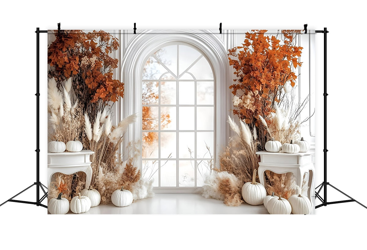 Autumn Backdrop Elegant White Pumpkin Window Backdrop GQ5-85