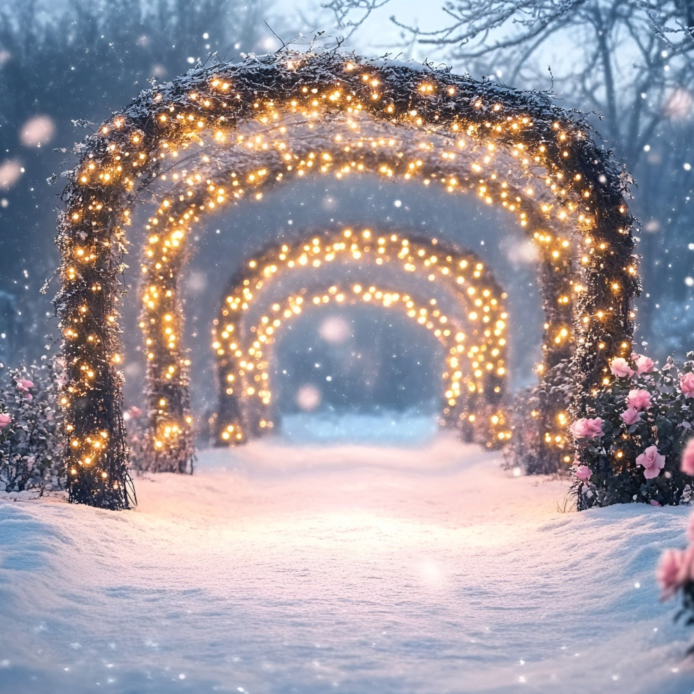 Winter Photography Backdrops Sparkling Rose Trail Backdrop GQ57-171