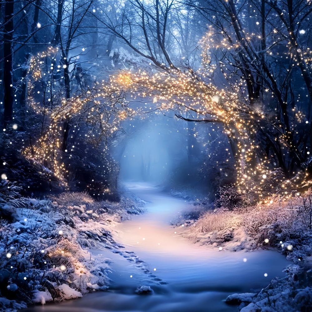 Winter Forest Backdrop Fairy Lights Trail Backdrop GQ57-174