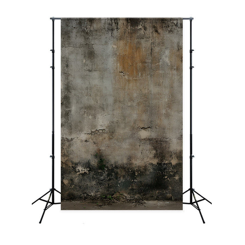 Concrete Backdrop Aged Brown and Gray Wall Moss Base Portrait Backdrops GQ58-58