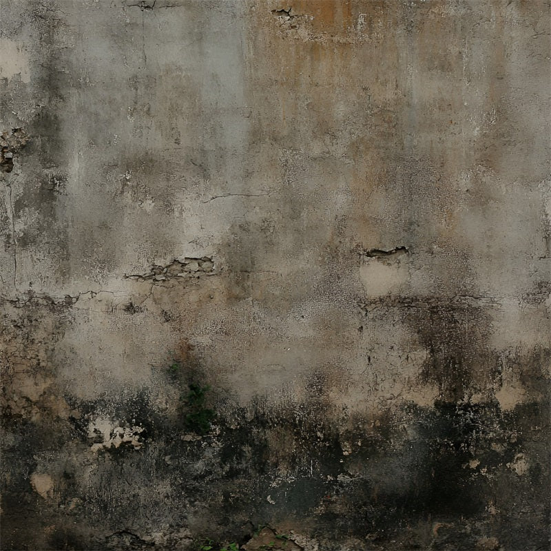 Concrete Backdrop Aged Brown and Gray Wall Moss Base Portrait Backdrops GQ58-58